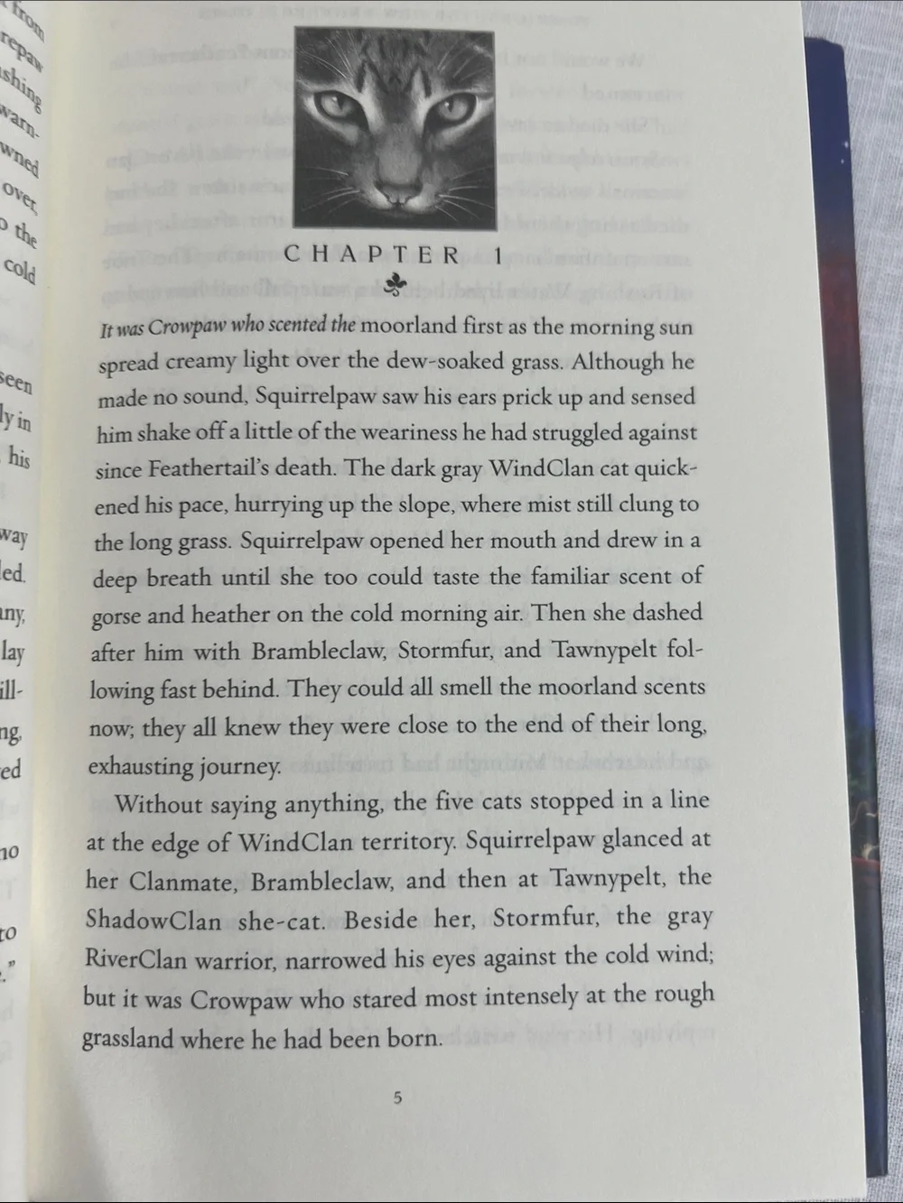 🌞 Warriors The new prophesy Dawn Erin Hunter National Bestselling author